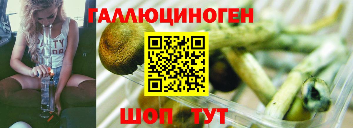 Псилоцибиновые грибы мицелий Коммунар